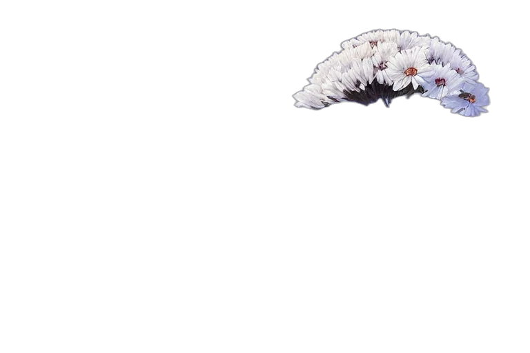 dragon, animal, creature, umbrella transparent PNG cut-out