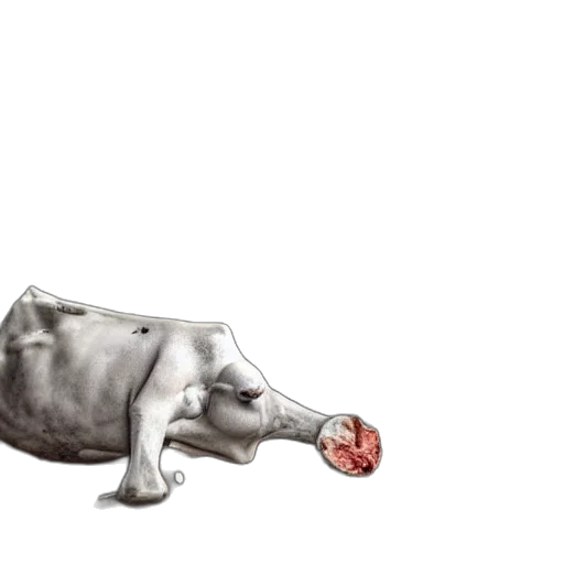 animal, food, creature, weapon transparent PNG cut-out