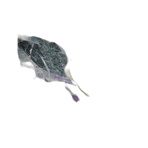 umbrella, weapon, hair, staff transparent PNG cut-out