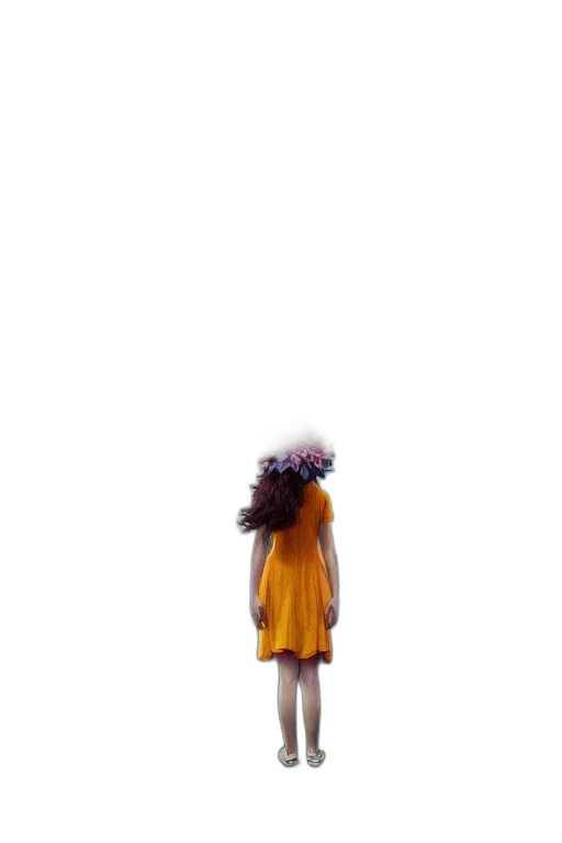 dress, hair, crown, flower transparent PNG cut-out