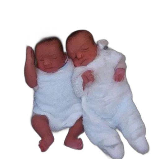 3d render, photorealistic, oil painting, softest transparent PNG cut-out