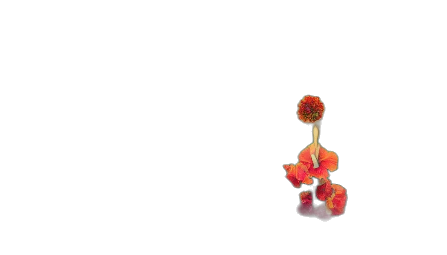 jewelry, flower, crown, staff transparent PNG cut-out