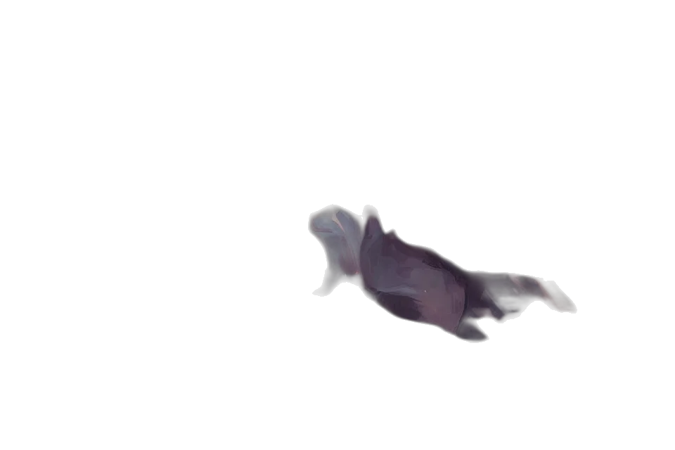 creature, dragon, animal, hair transparent PNG cut-out