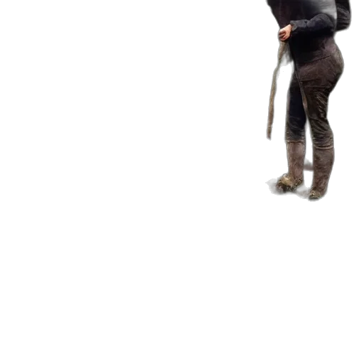 staff, animal, creature, weapon transparent PNG cut-out