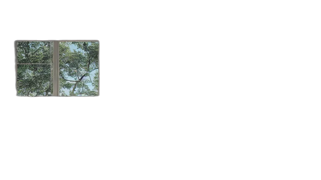 tree, animal, crown, staff transparent PNG cut-out