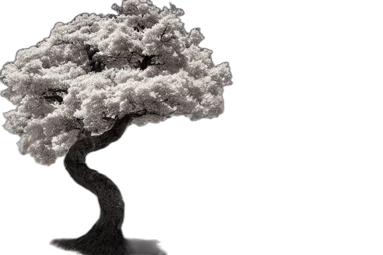 tree, crown, hair, 3d render transparent PNG cut-out