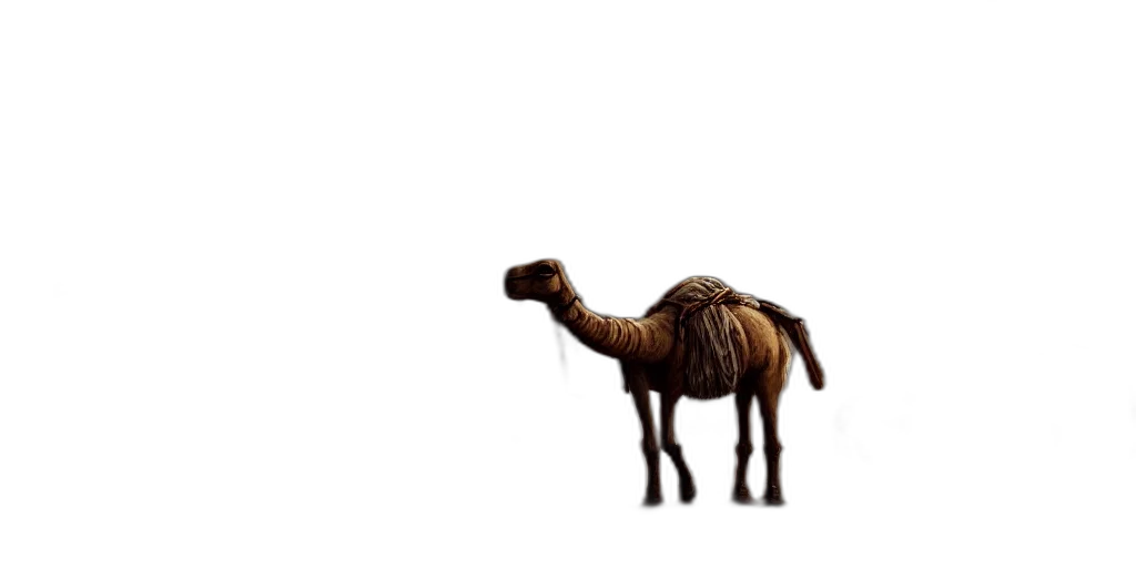animal, creature, weapon, furniture transparent PNG cut-out