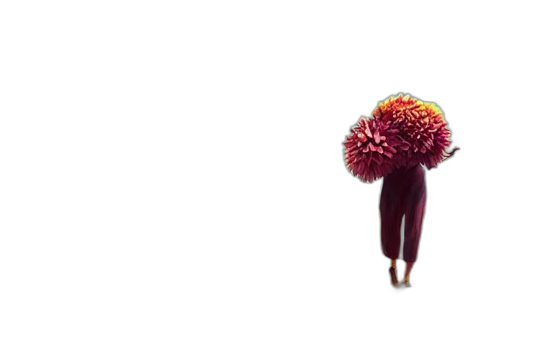 flower, umbrella, hair, staff transparent PNG cut-out