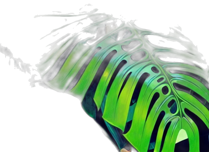 bottle, hair, weapon, crown transparent PNG cut-out