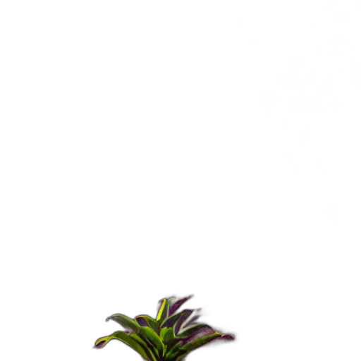 flower, tree, staff, hair transparent PNG cut-out