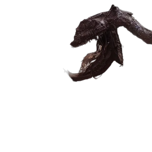 dragon, animal, hair, creature transparent PNG cut-out