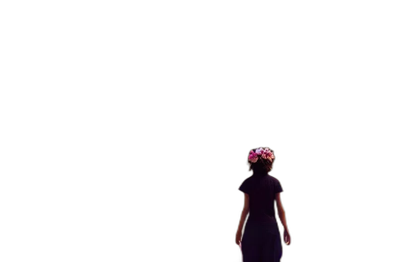 dress, crown, flower, hat transparent PNG cut-out