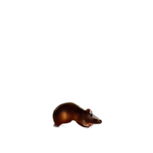 animal, creature, hair, staff transparent PNG cut-out