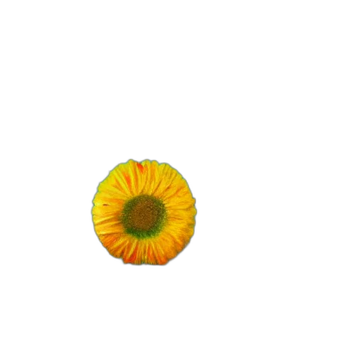 flower, food, crown, jewelry transparent PNG cut-out