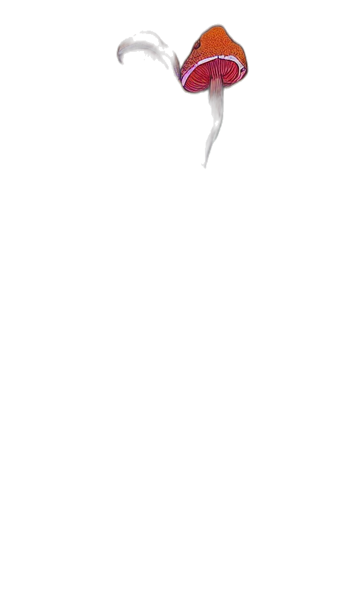 staff, sword, face, hair transparent PNG cut-out