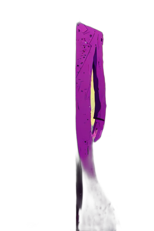 staff, dress, jacket, sword transparent PNG cut-out