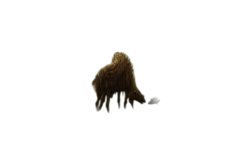 hair, animal, creature, hat transparent PNG cut-out