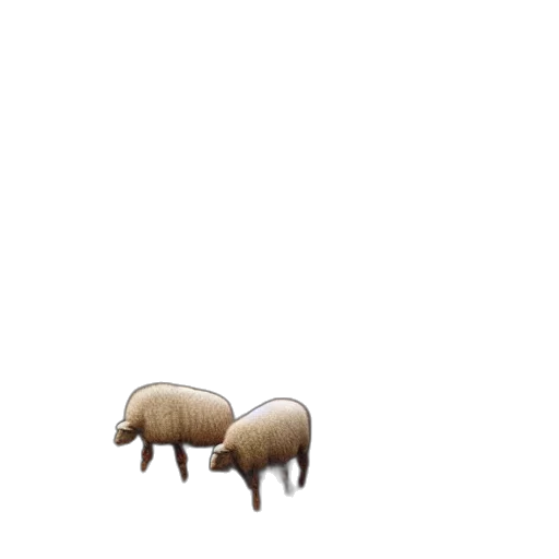 animal, furniture, creature, food transparent PNG cut-out