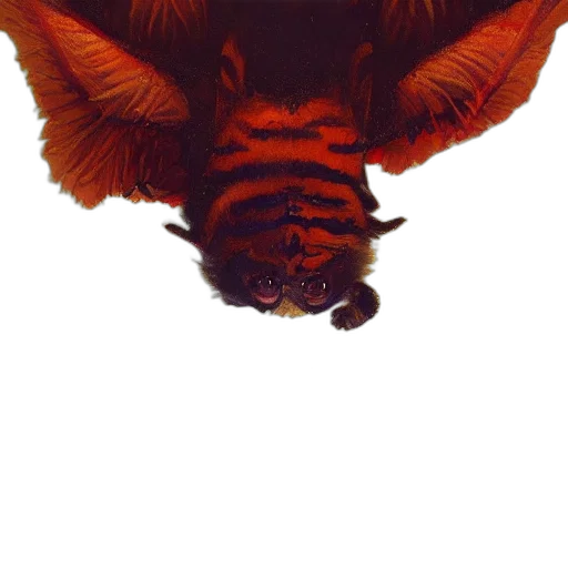 animal, dragon, creature, mask transparent PNG cut-out