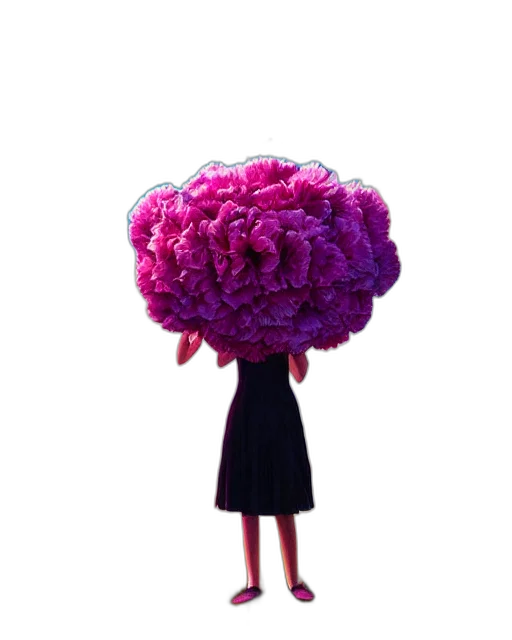 flower, hat, crown, umbrella transparent PNG cut-out