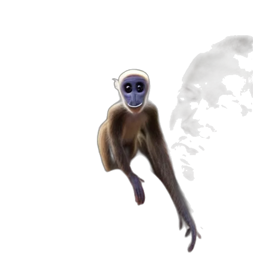 creature, animal, mask, face transparent PNG cut-out