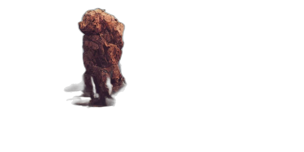 creature, hair, animal, robot transparent PNG cut-out
