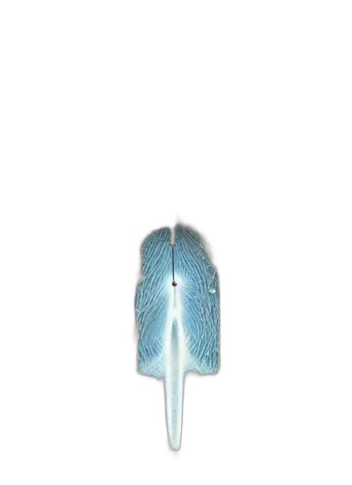 umbrella, staff, sword, hair transparent PNG cut-out