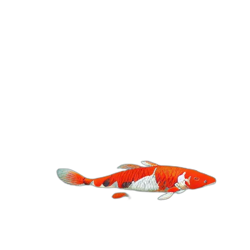 animal, creature, weapon, shoes transparent PNG cut-out