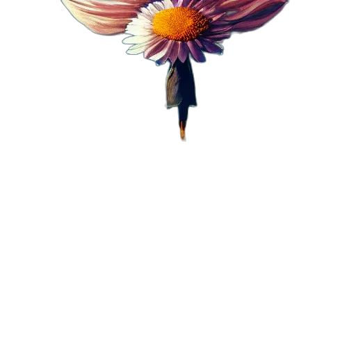 flower, staff, umbrella, crown transparent PNG cut-out