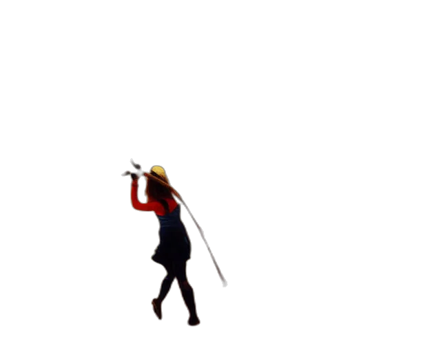 staff, sword, weapon, hat transparent PNG cut-out