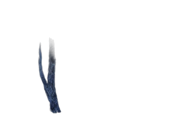 sword, creature, hair, weapon transparent PNG cut-out