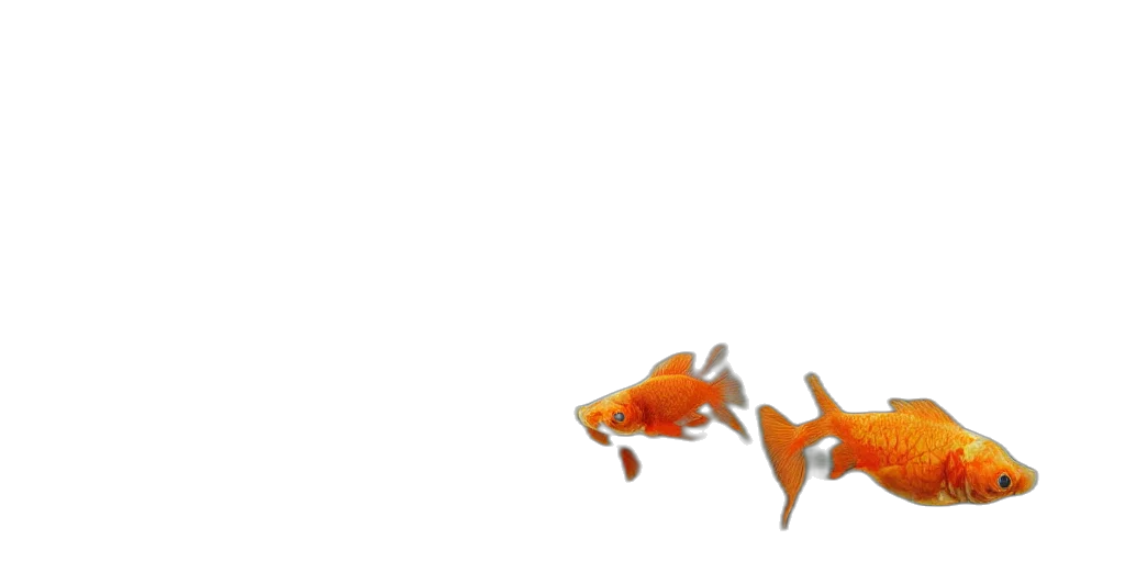 animal, staff, weapon, creature transparent PNG cut-out