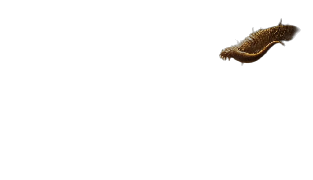 dragon, animal, creature, shoes transparent PNG cut-out