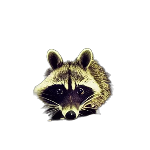animal, creature, staff, face transparent PNG cut-out