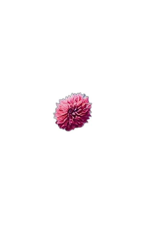 flower, crown, hair, jewelry transparent PNG cut-out