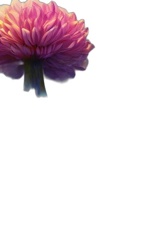 flower, crown, umbrella, dress transparent PNG cut-out