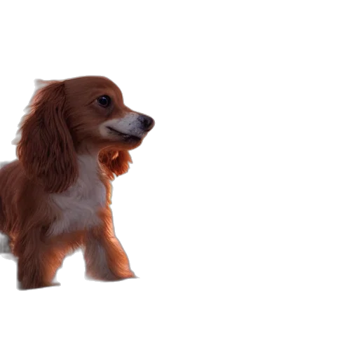 animal, creature, staff, weapon transparent PNG cut-out
