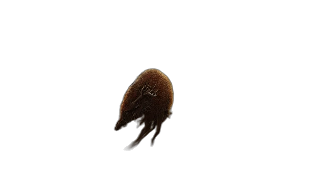 hair, hat, creature, animal transparent PNG cut-out