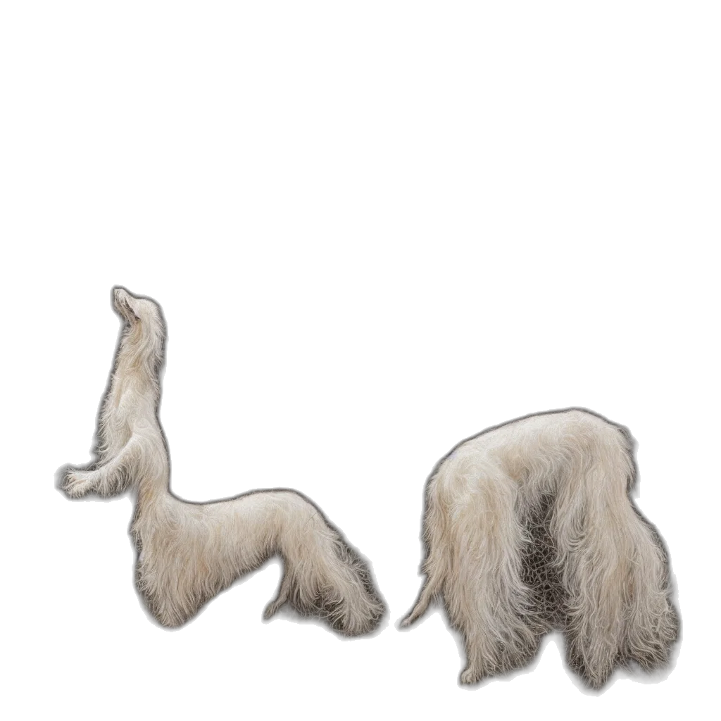 hair, animal, creature, staff transparent PNG cut-out
