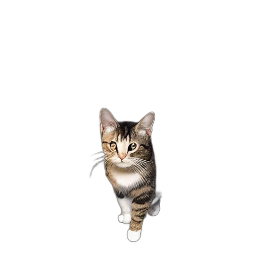 animal, staff, creature, weapon transparent PNG cut-out