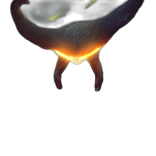 dragon, hair, creature, food transparent PNG cut-out