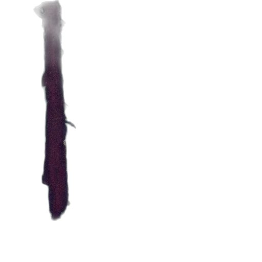 sword, staff, weapon, hair transparent PNG cut-out