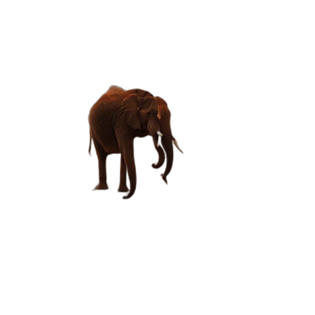 animal, creature, staff, furniture transparent PNG cut-out
