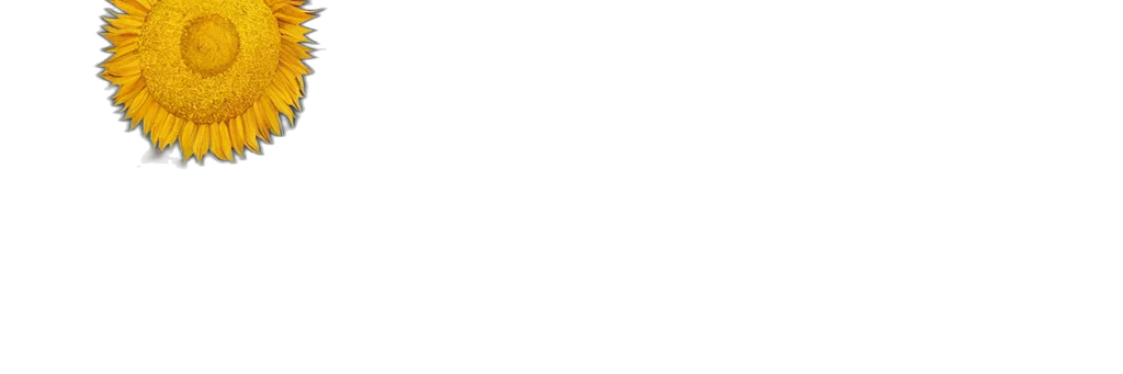 staff, face, monochrome, pastel transparent PNG cut-out