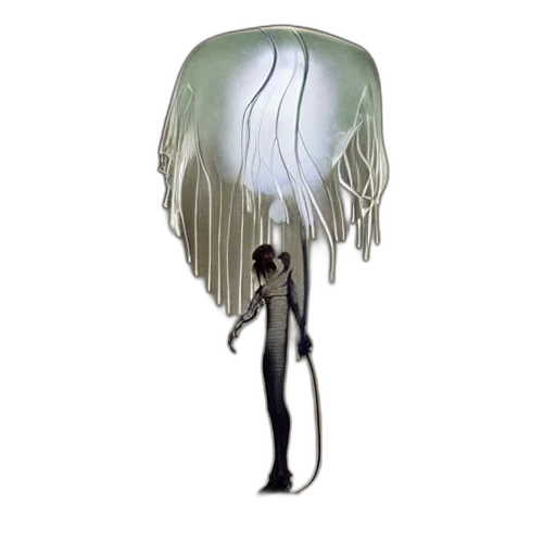 hair, creature, hat, umbrella transparent PNG cut-out