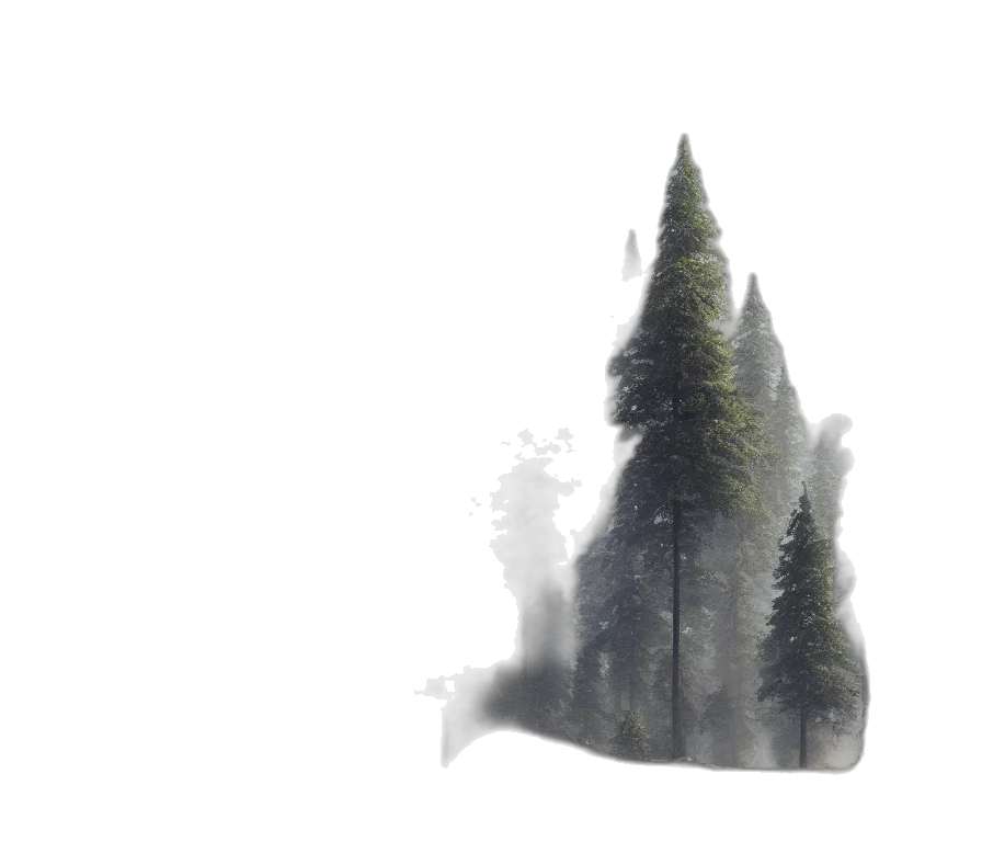 tree, creature, sword, jacket transparent PNG cut-out