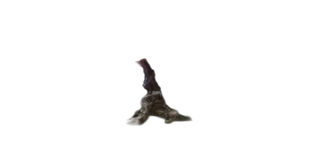 dragon, animal, shoes, creature transparent PNG cut-out