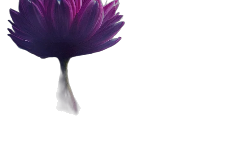 flower, crown, hair, umbrella transparent PNG cut-out