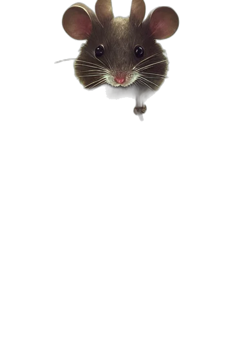 animal, creature, hat, staff transparent PNG cut-out
