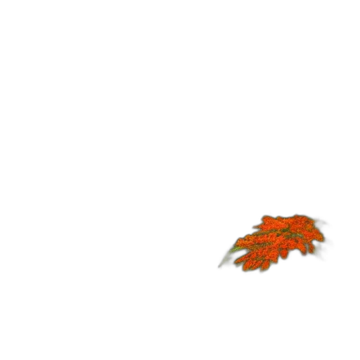 dragon, flower, crown, tree transparent PNG cut-out